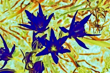 F 038A